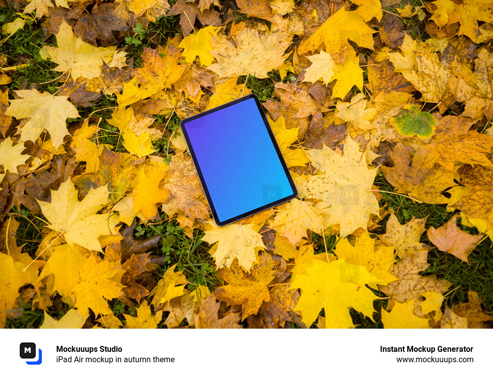 iPad Air mockup in autumn theme