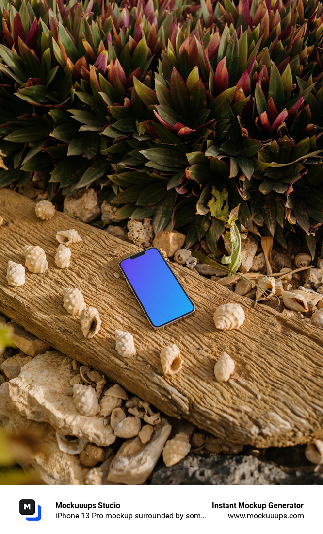 iPhone 13 Pro mockup surrounded by some seashells