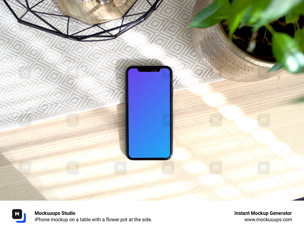 iPhone mockup on a table with a flower pot at the side.