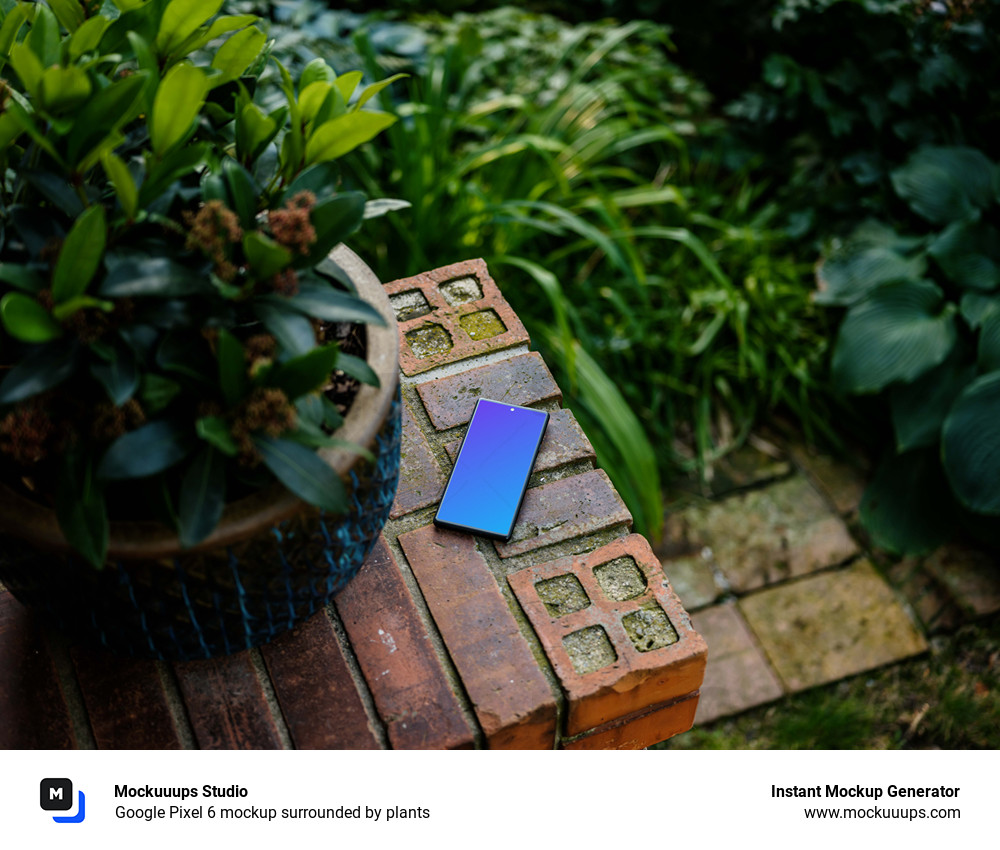 Google Pixel 6 mockup surrounded by plants