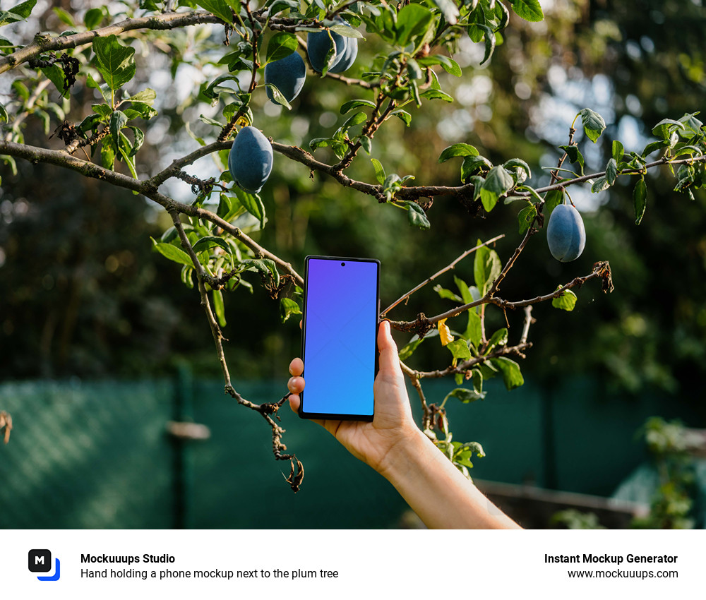 Hand holding a phone mockup next to the plum tree
