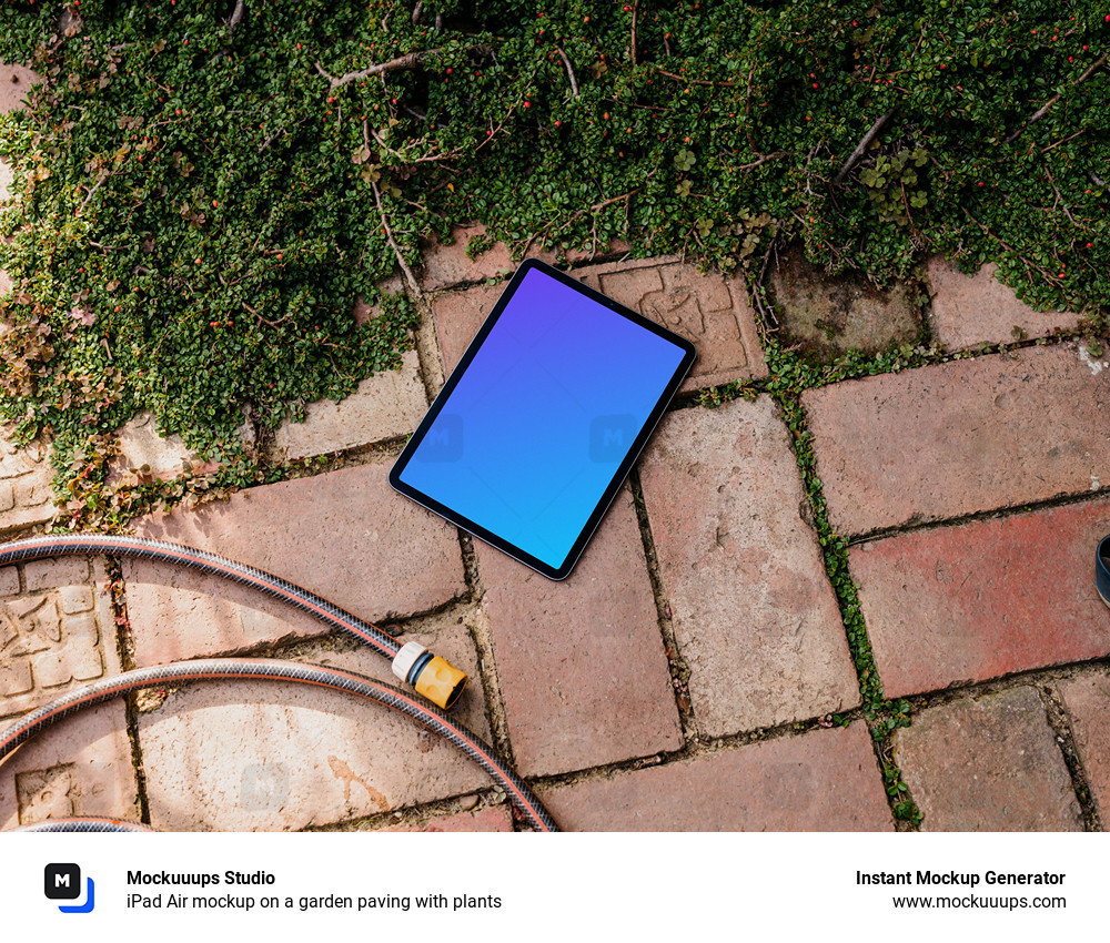 iPad Air mockup on a garden paving with plants