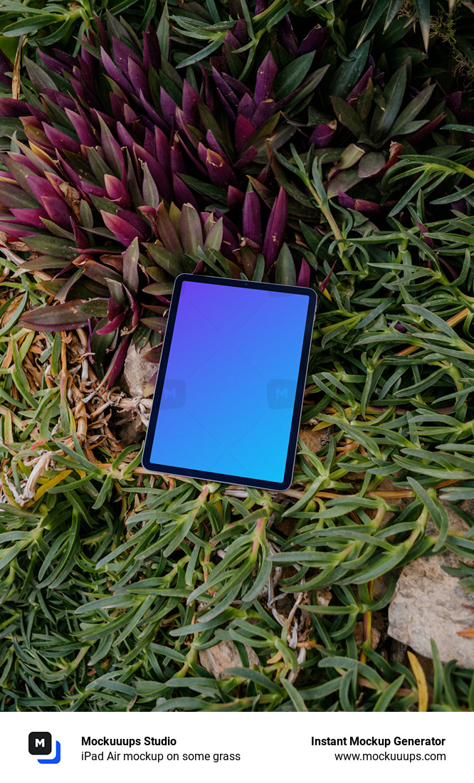 iPad Air mockup on some grass