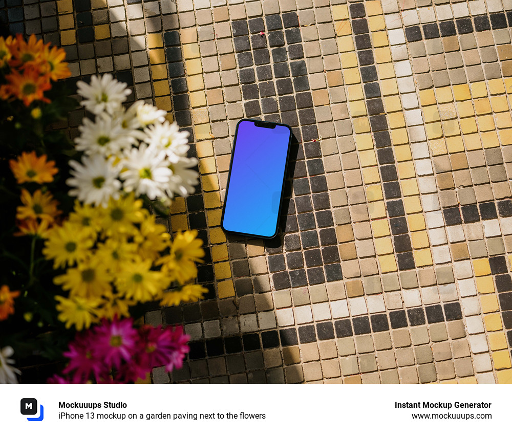 iPhone 13 mockup on a garden paving next to the flowers