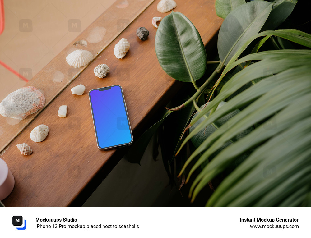  iPhone 13 Pro mockup placed next to seashells