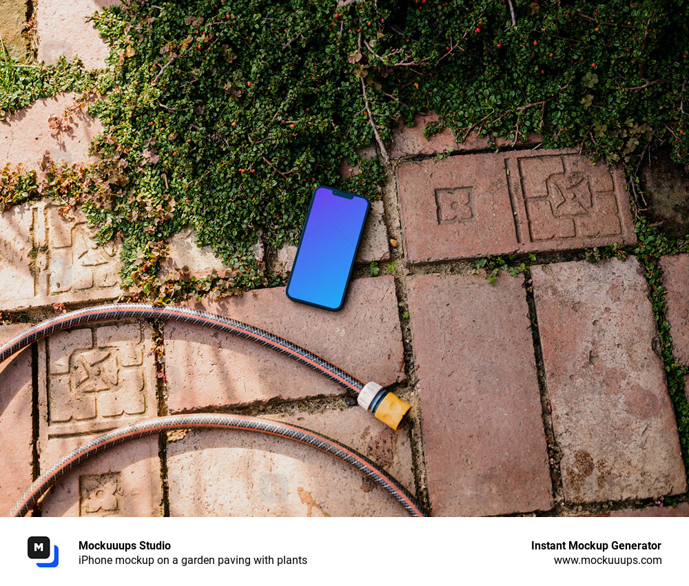 iPhone mockup on a garden paving with plants