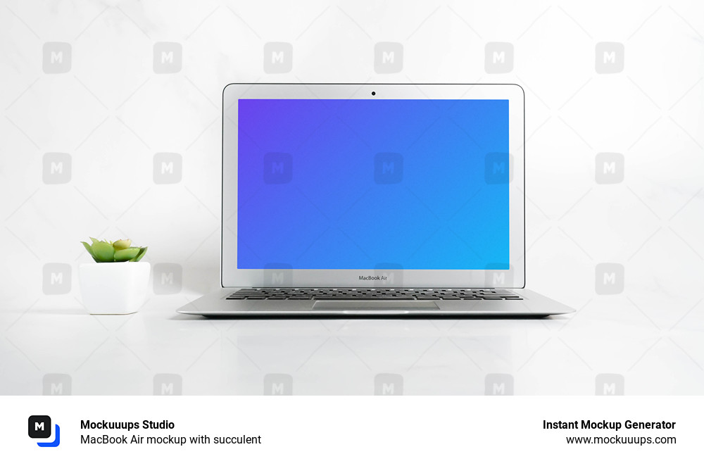 MacBook Air mockup with succulent