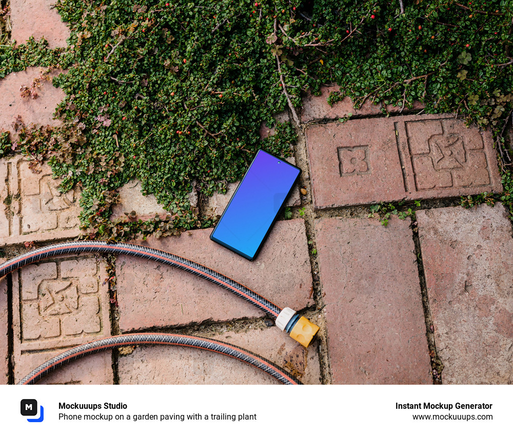 Phone mockup on a garden paving with a trailing plant