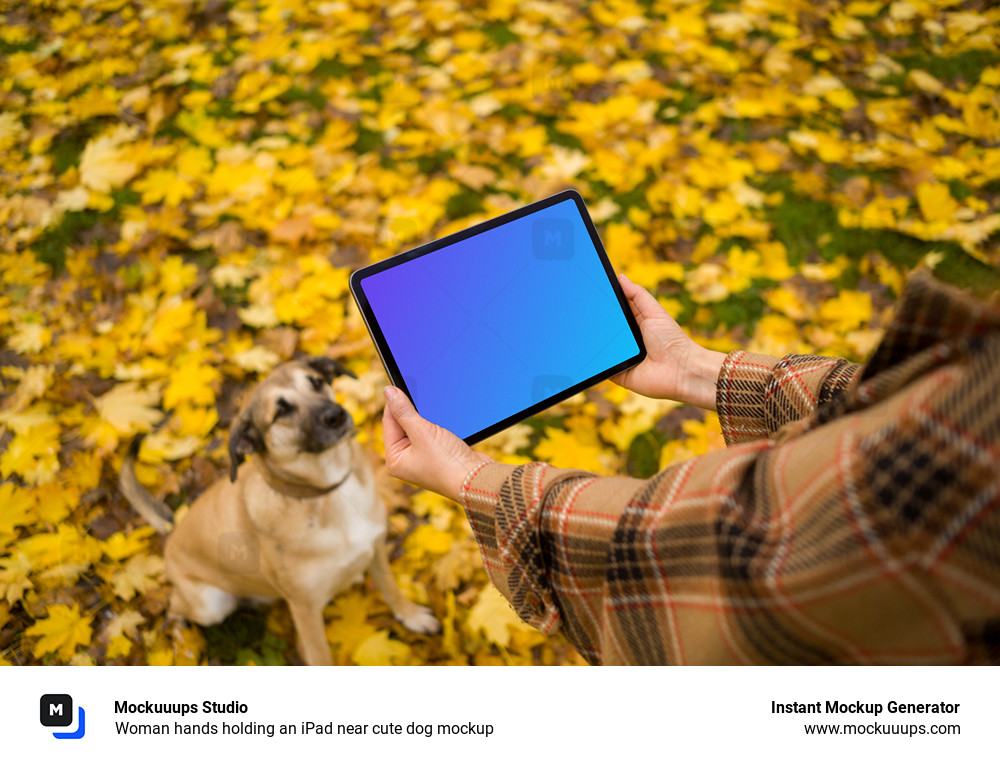 Woman hands holding an iPad near cute dog mockup