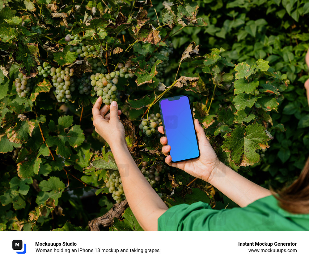 Woman holding an iPhone 13 mockup and taking grapes