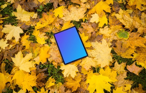iPad Air mockup in autumn theme