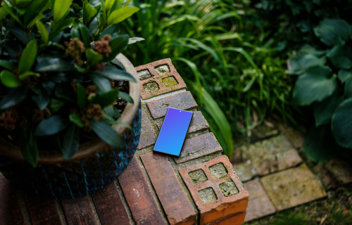 Google Pixel 6 mockup surrounded by plants