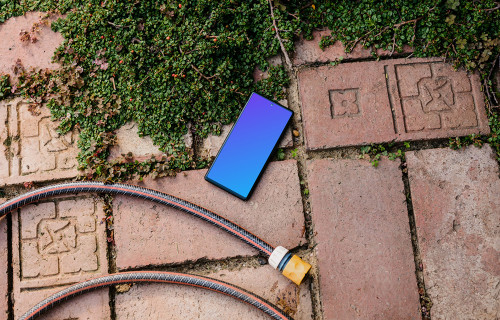Phone mockup on a garden paving with a trailing plant