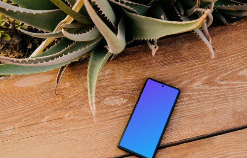 Pixel 6 mockup placed next to an Aloe Vera plant