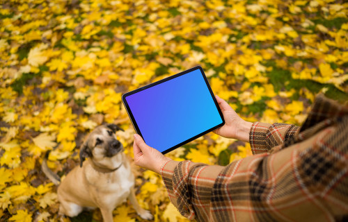 Mujer manos sosteniendo un iPad cerca de perro lindo mockup