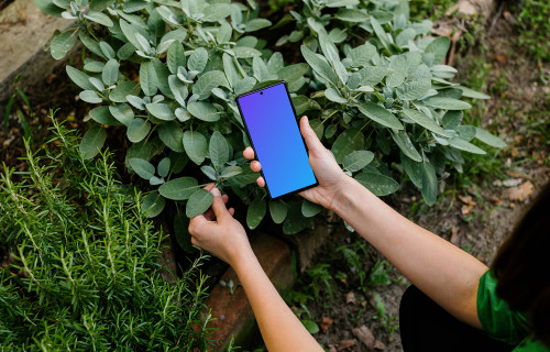 Woman holding a Google Pixel 6 mockup in garden theme