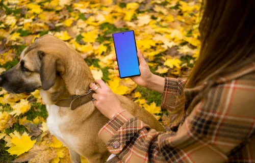 Mujer con teléfono y perro en un parque temático otoñal mockup