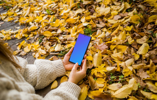 Woman typing on a Google Pixel with autumn styling mockup