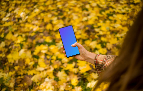 Hand scrolling on a Google Pixel 6 mockup in autumn theme