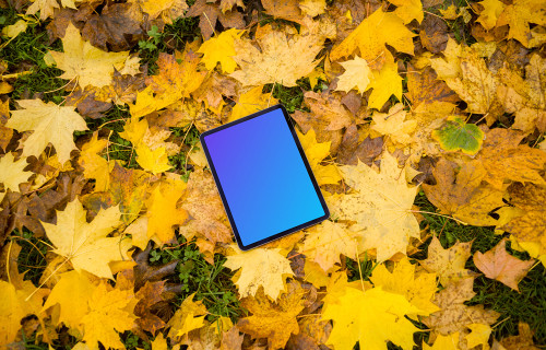 iPad Air mockup in autumn theme