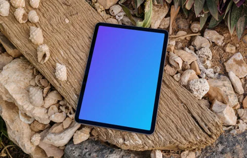 iPad Air mockup on a piece of wood beside seashells