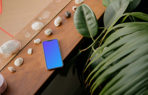  iPhone 13 Pro mockup placed next to seashells
