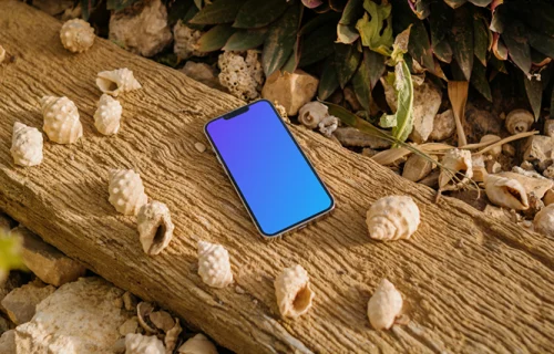iPhone 13 Pro mockup surrounded by some seashells