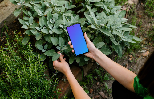 Woman holding a Google Pixel 6 mockup in garden theme