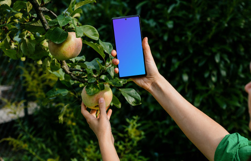 Woman holding a phone while taking an apple from tree mockup