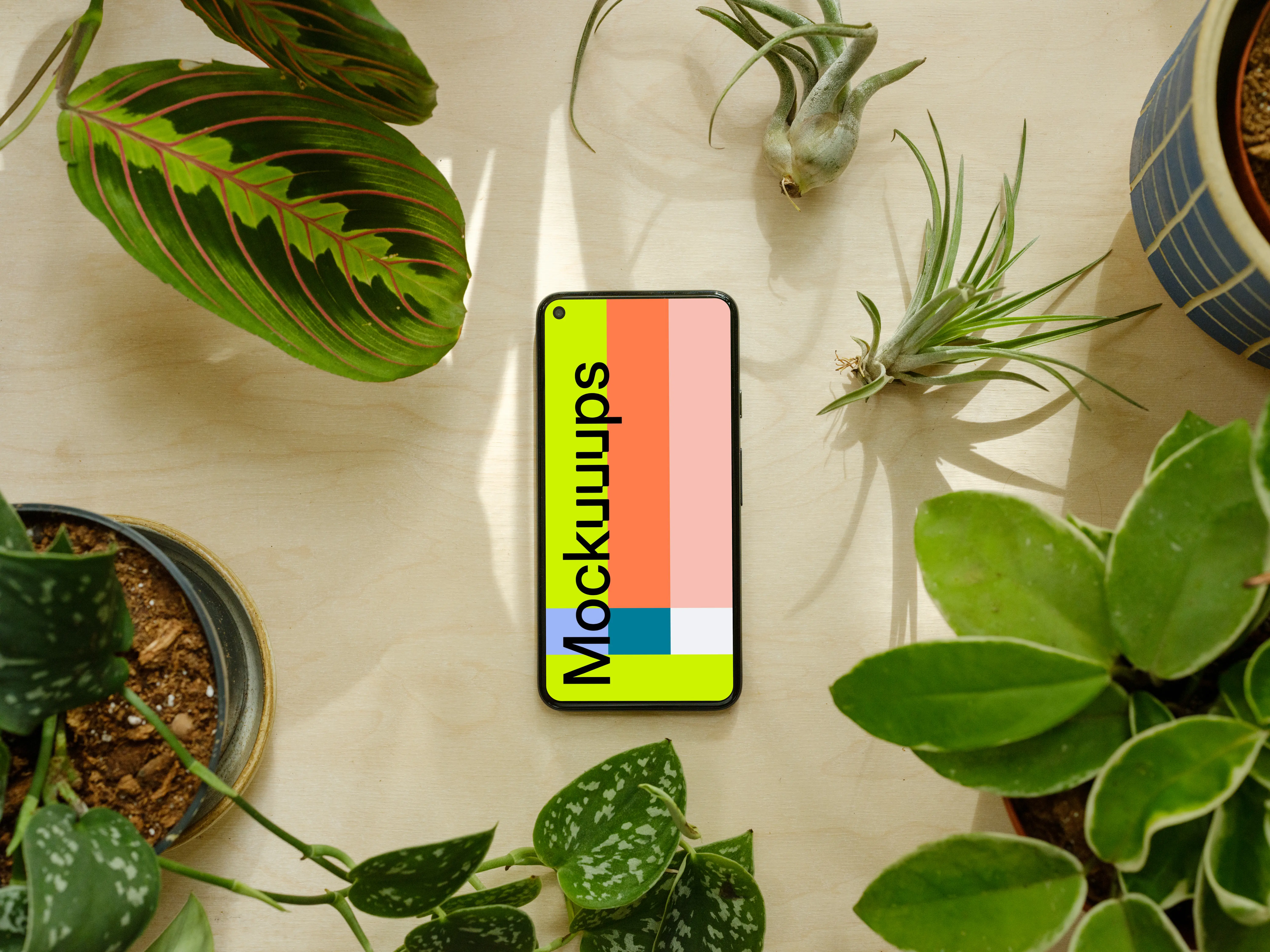 Pixel 5 mockup in a mini garden