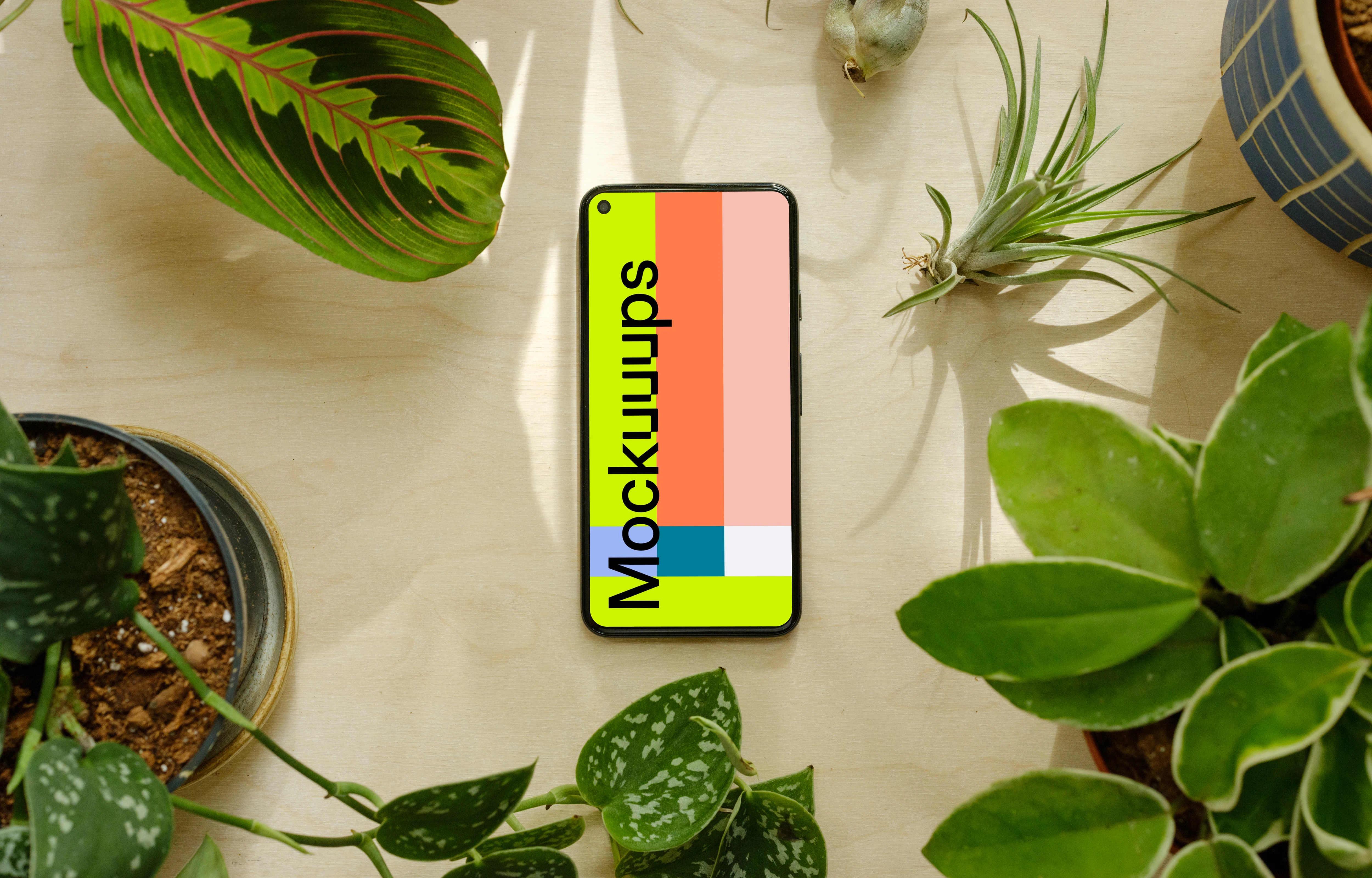 Pixel 5 mockup in a mini garden
