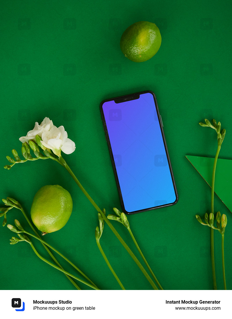 iPhone mockup on green table