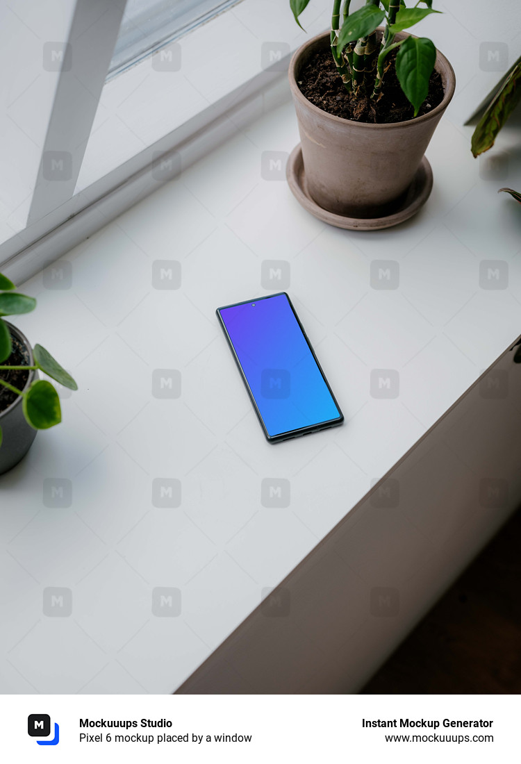 Pixel 6 mockup placed by a window