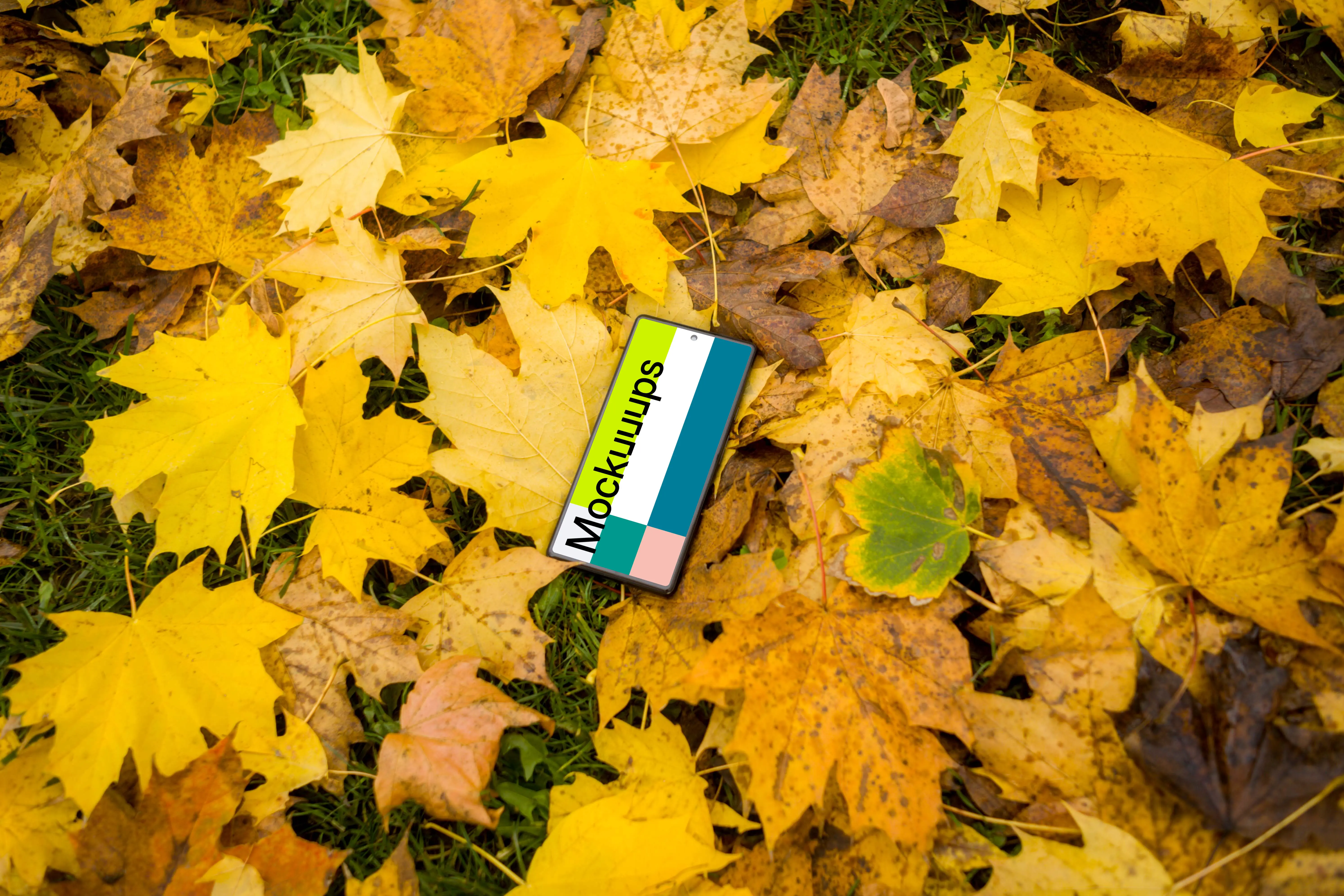 Google Pixel 6 mockup with autumn styling