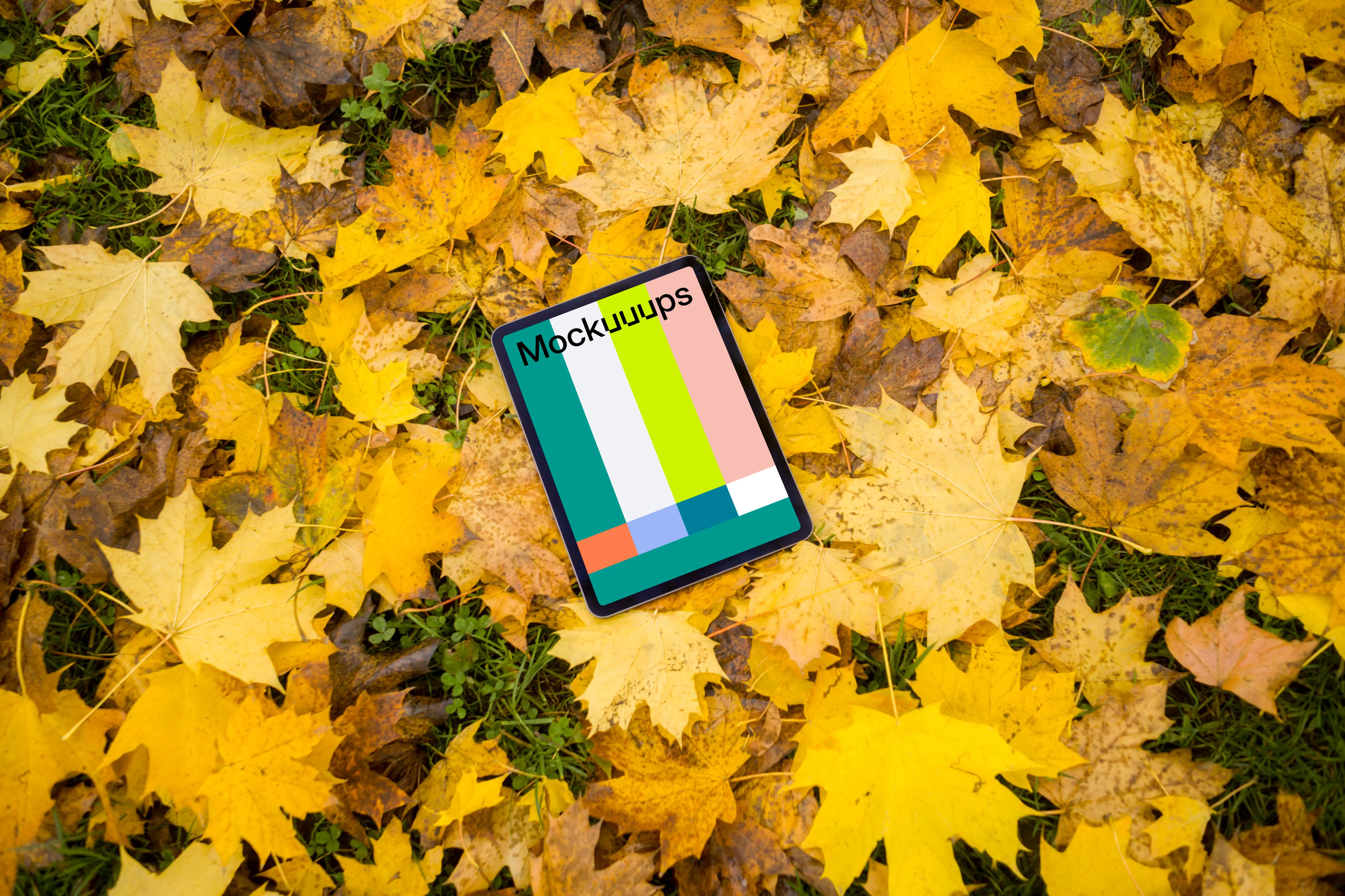 iPad Air mockup in autumn theme