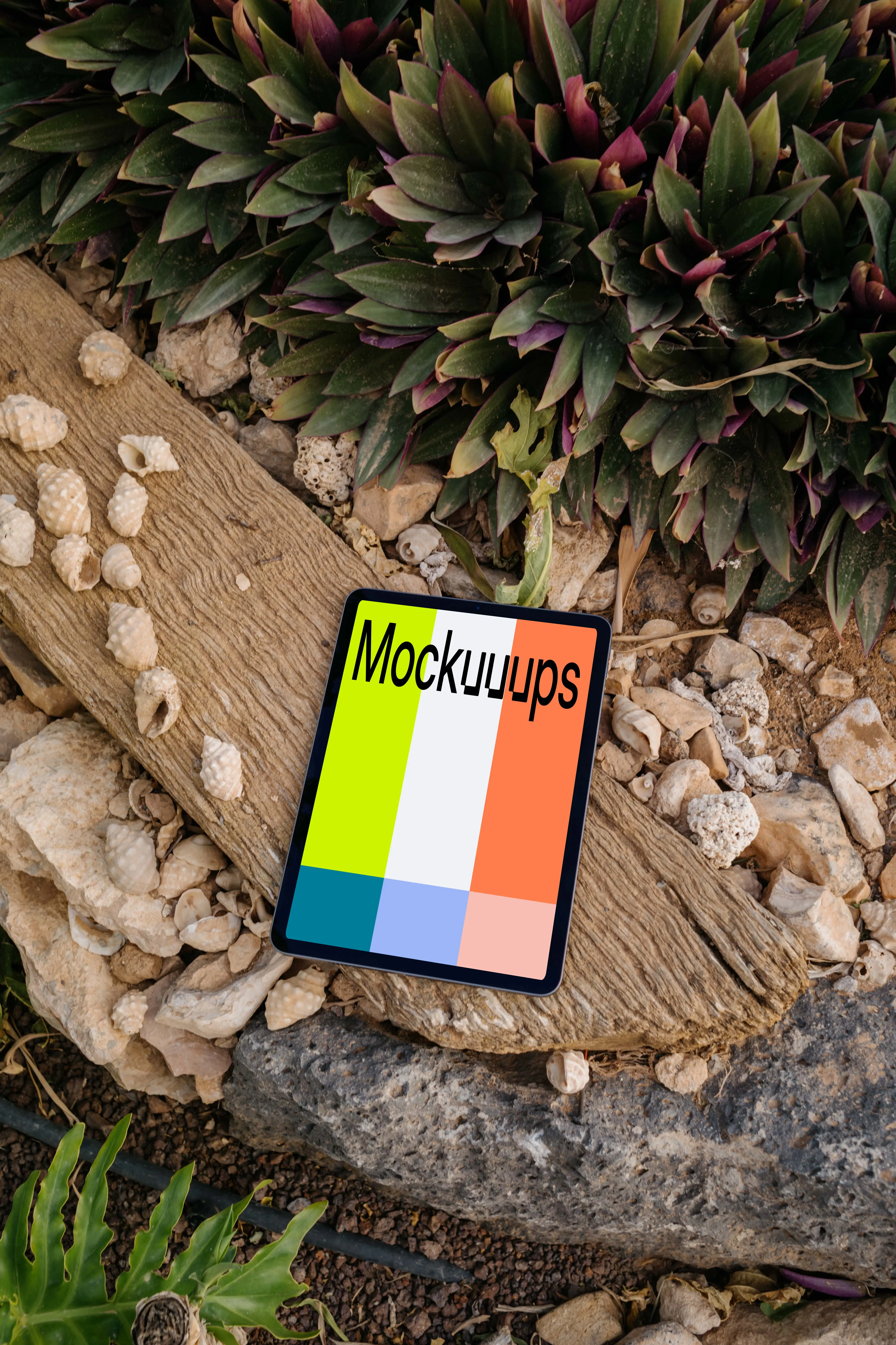 iPad Air mockup on a piece of wood beside seashells