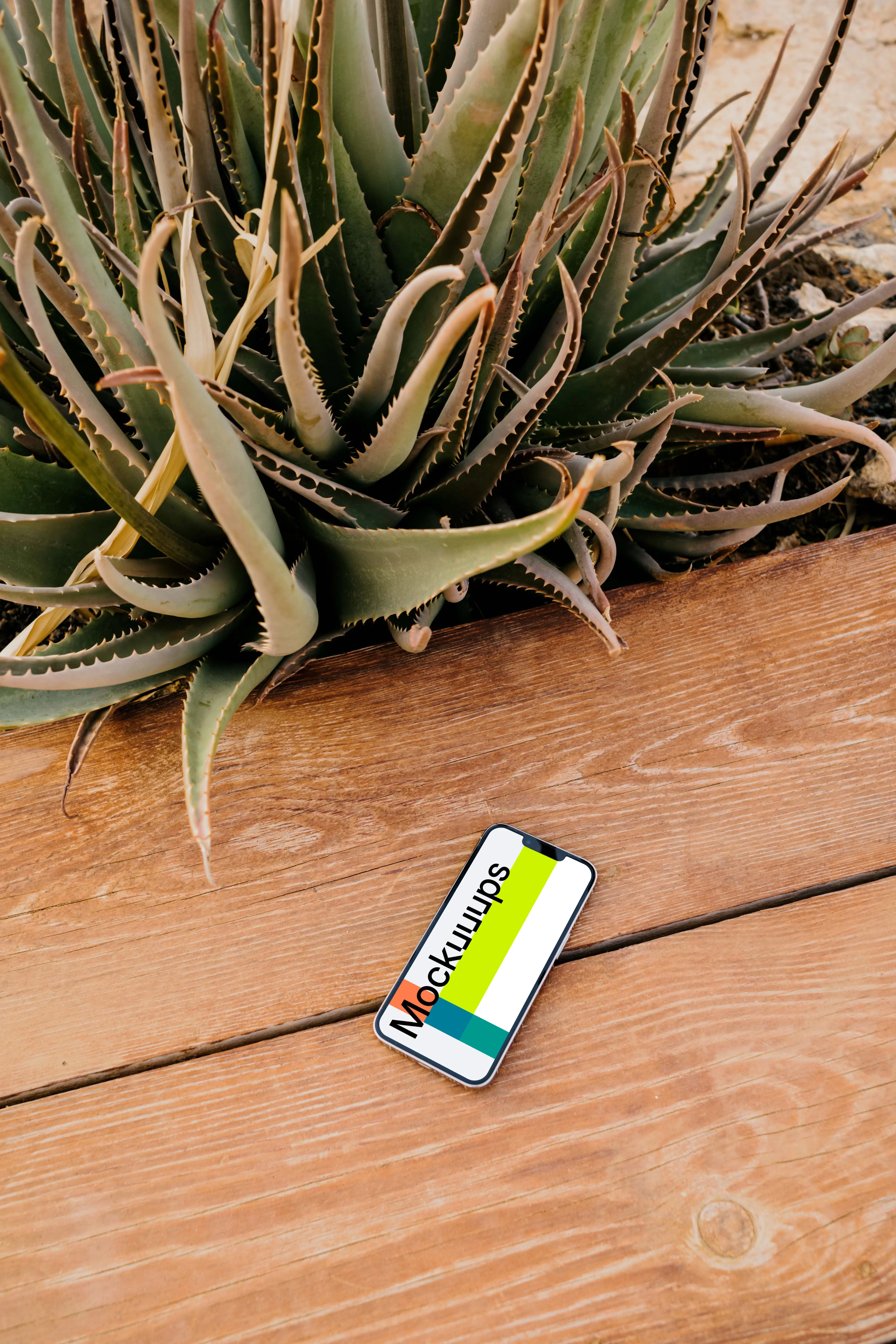 iPhone 13 Pro mockup beside an aloe plant