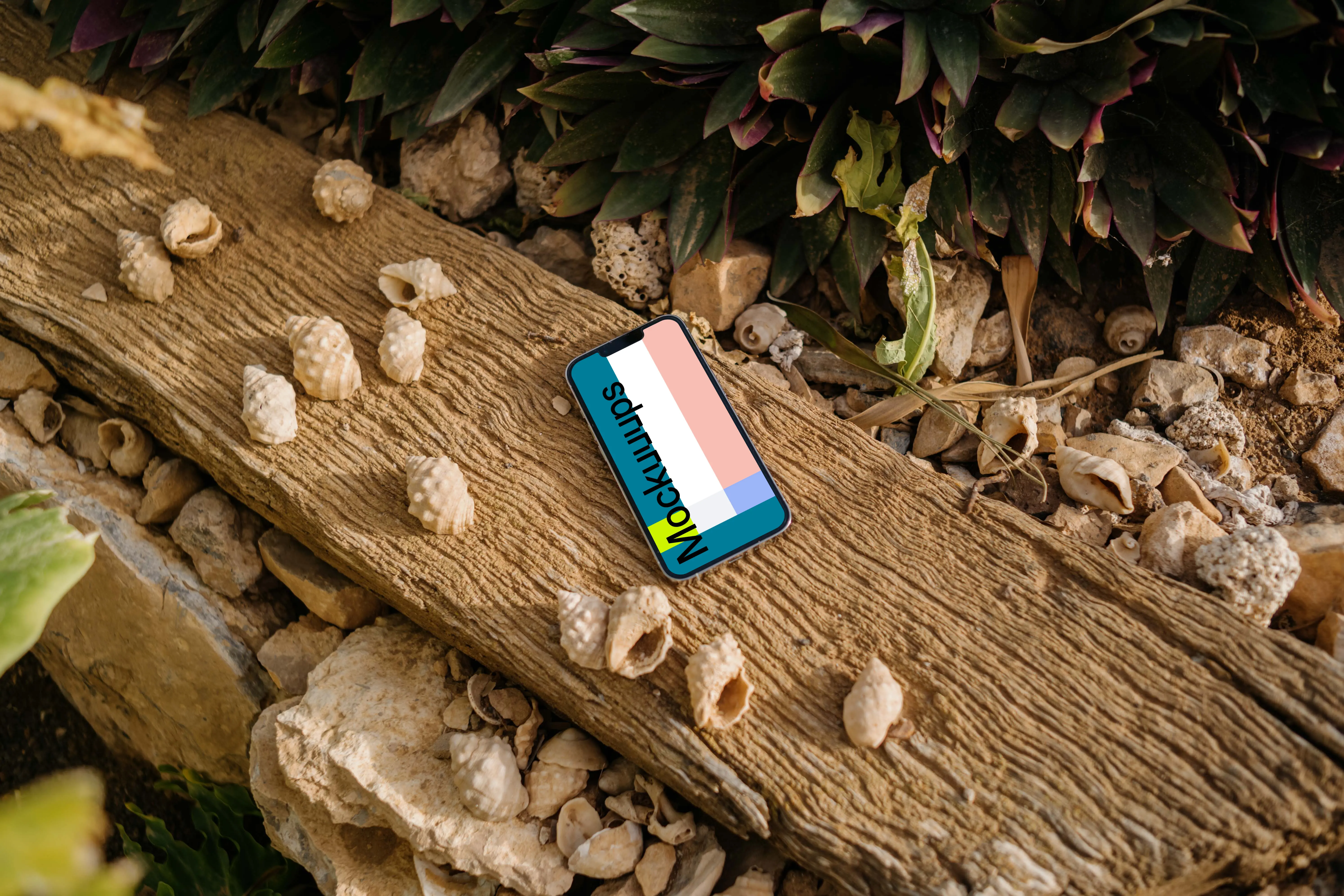  iPhone 13 Pro mockup on a piece of driftwood