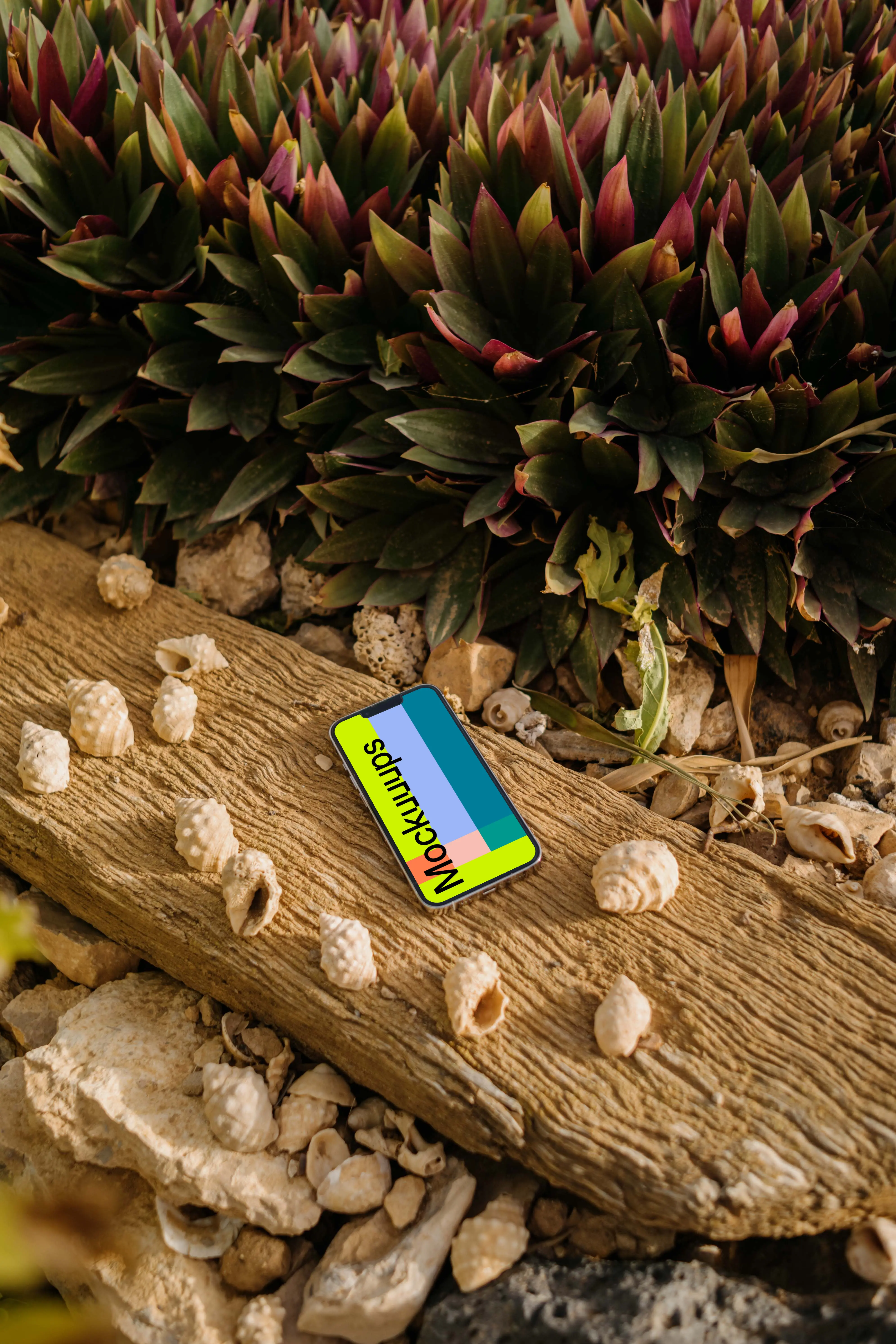 iPhone 13 Pro mockup surrounded by some seashells