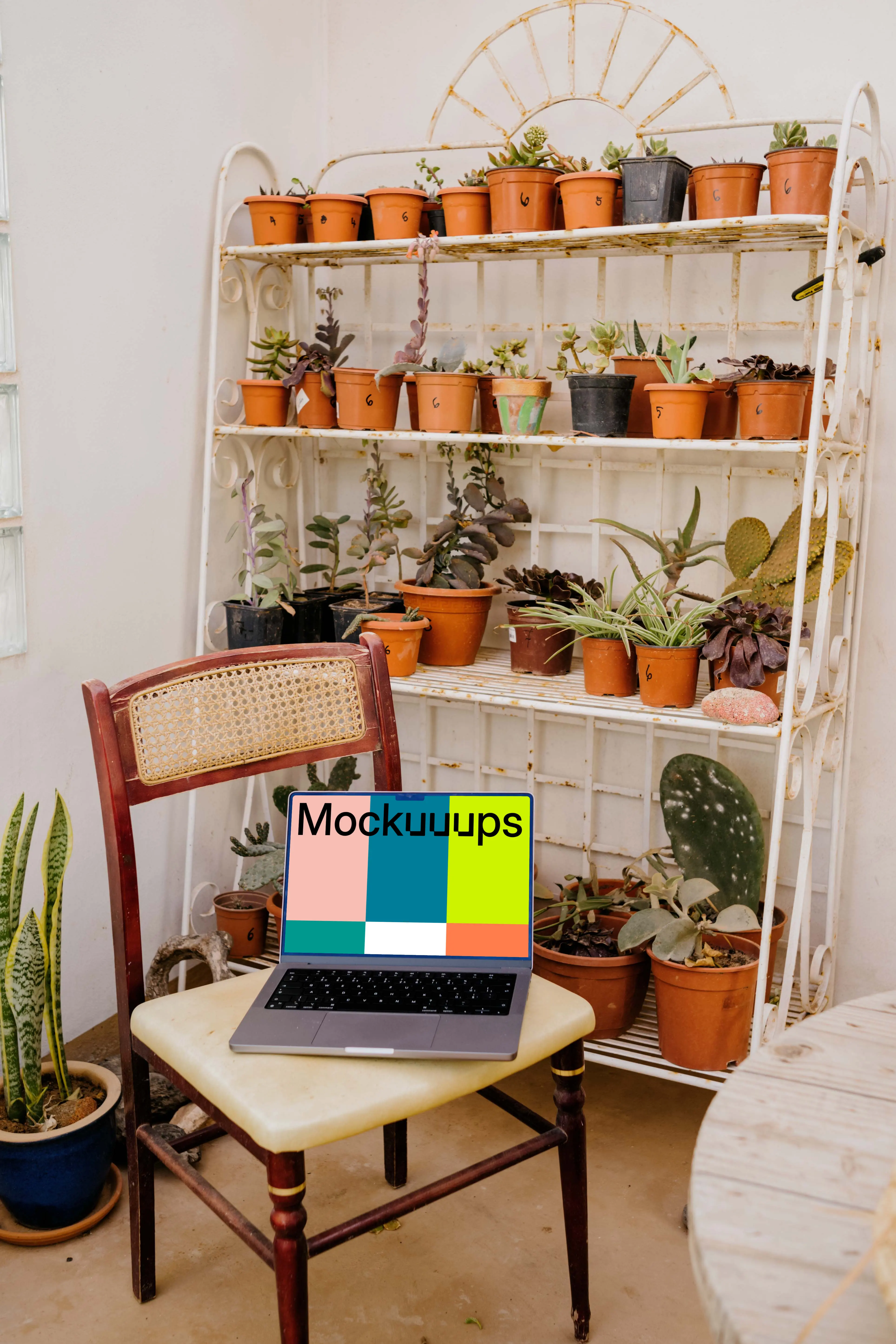 MacBook Pro mockup in front of many potted plants
