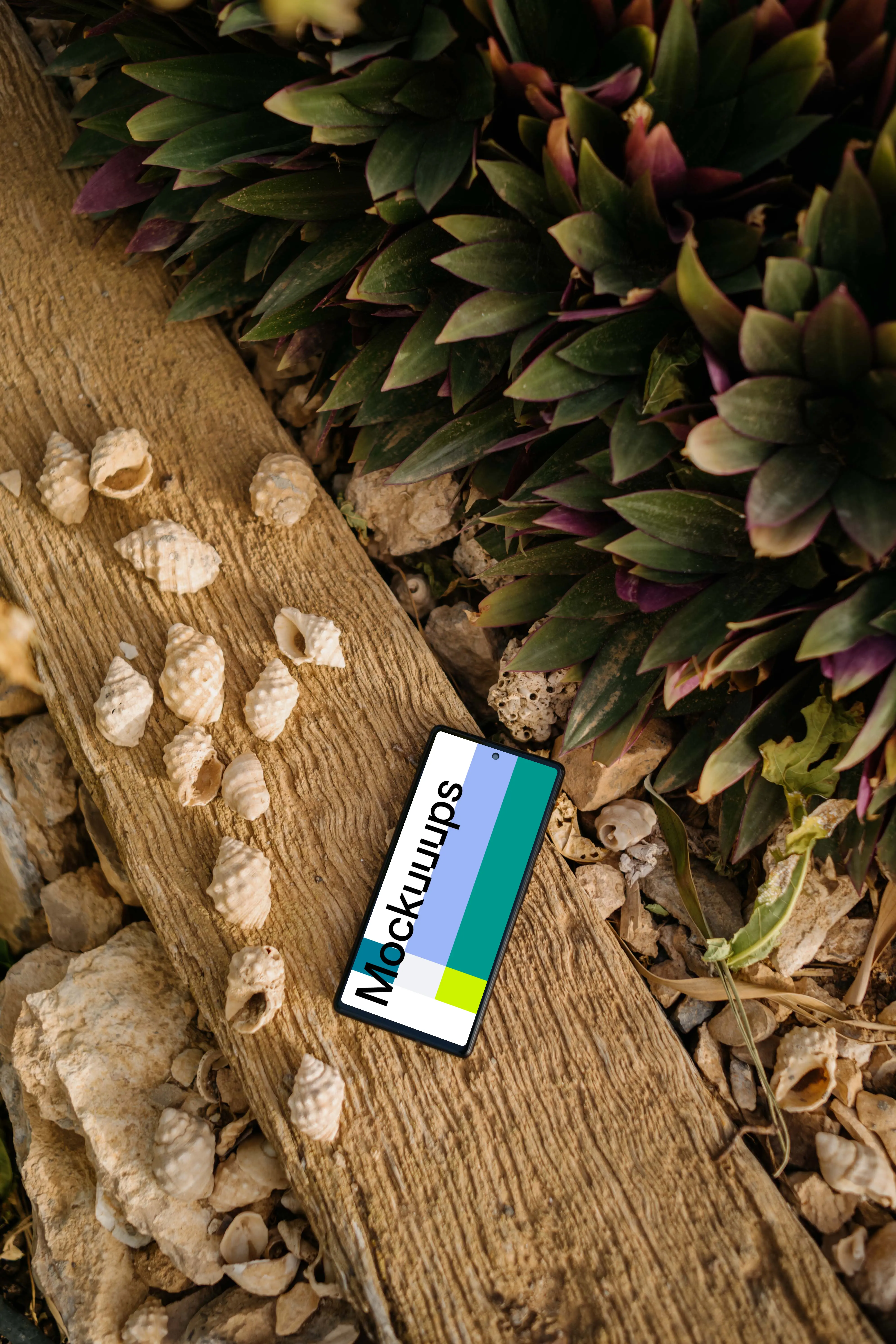 Pixel 6 mockup on a beach beside some seashells