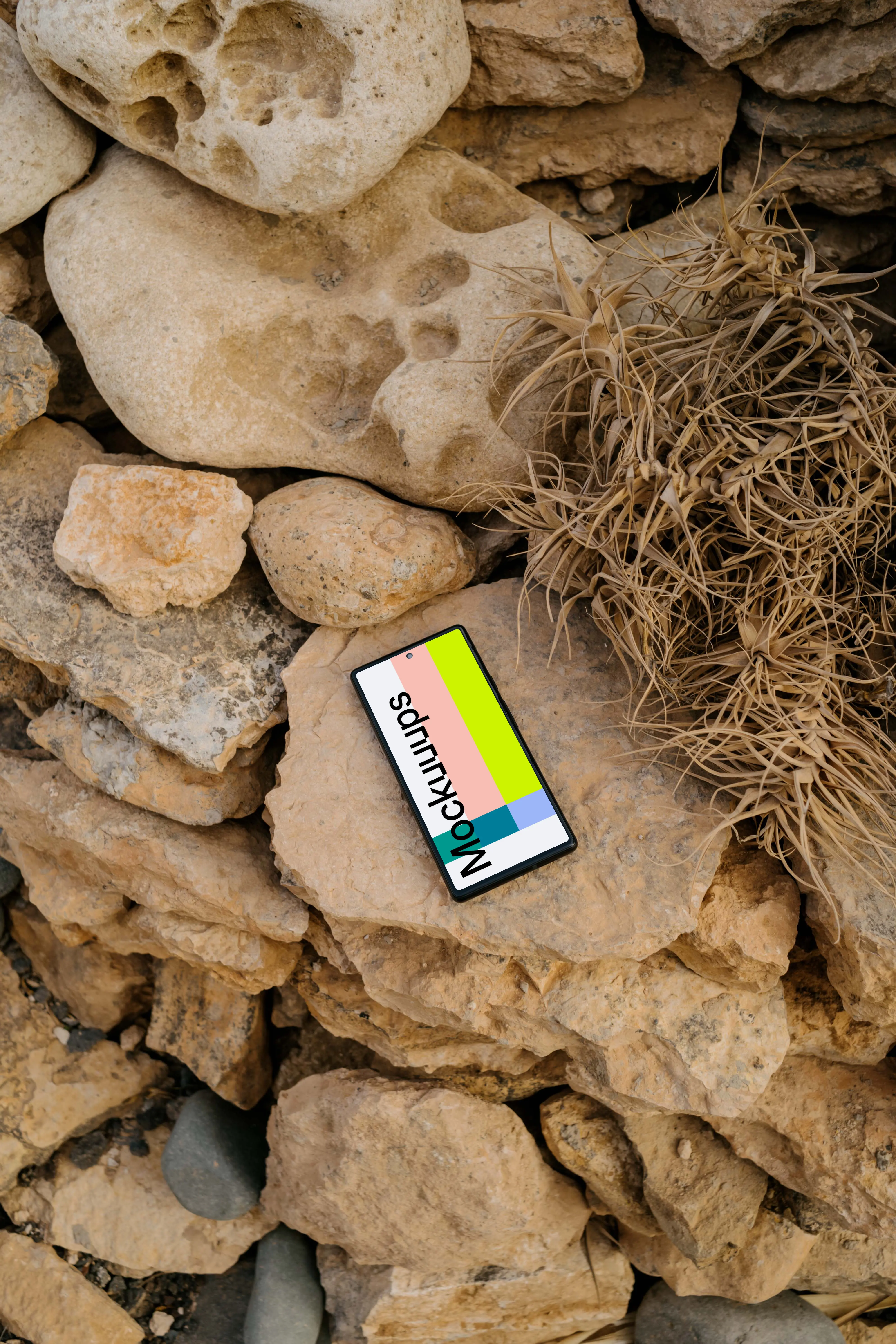 Pixel 6 mockup on rocks