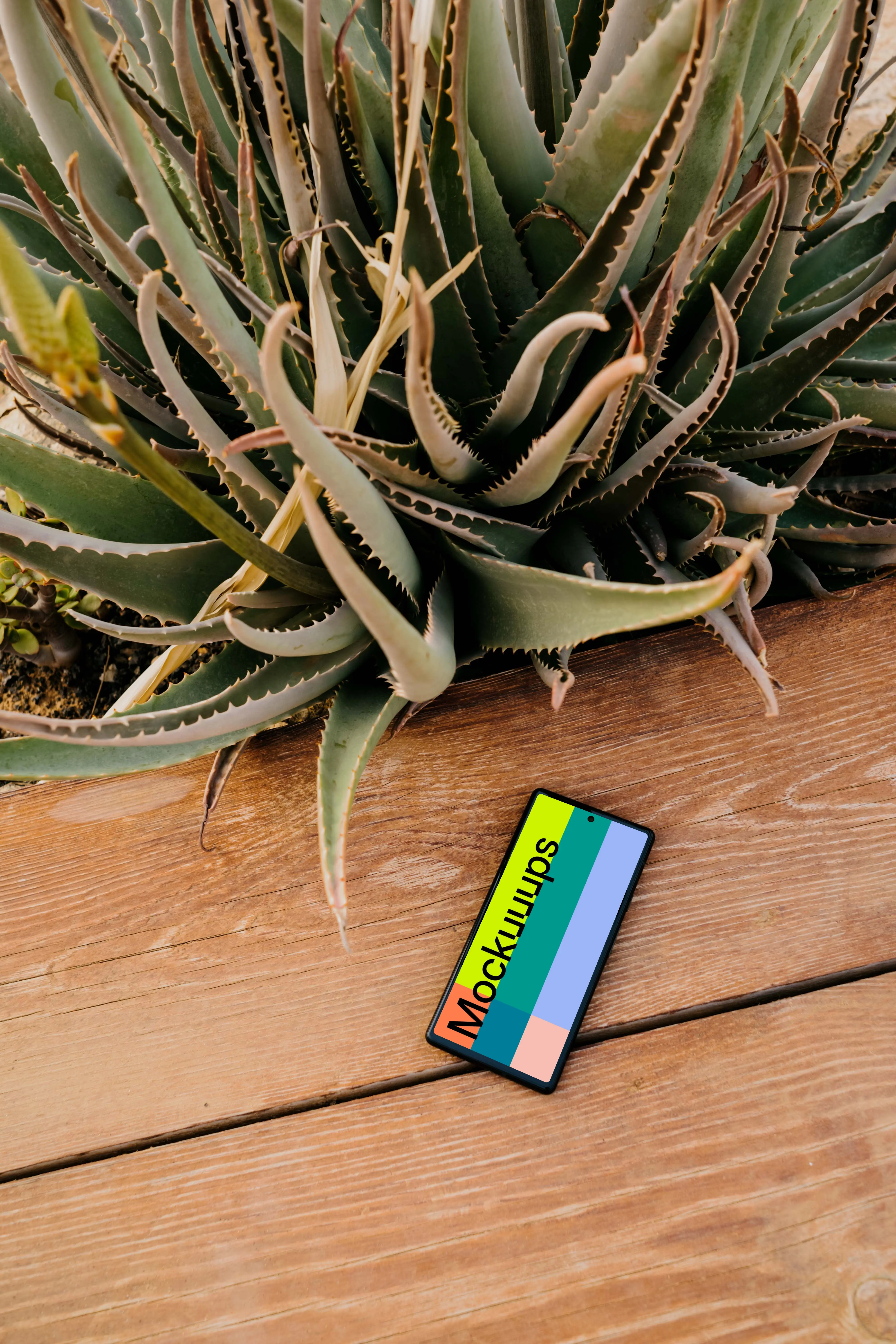 Pixel 6 mockup placed next to an Aloe Vera plant