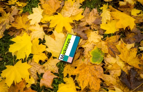 Google Pixel 6 mockup with autumn styling