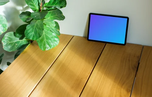iPad Air mockup leaning on a wall beside a plant