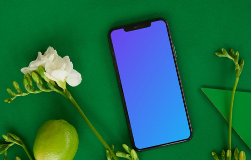 iPhone mockup on green table