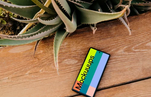 Pixel 6 mockup placed next to an Aloe Vera plant