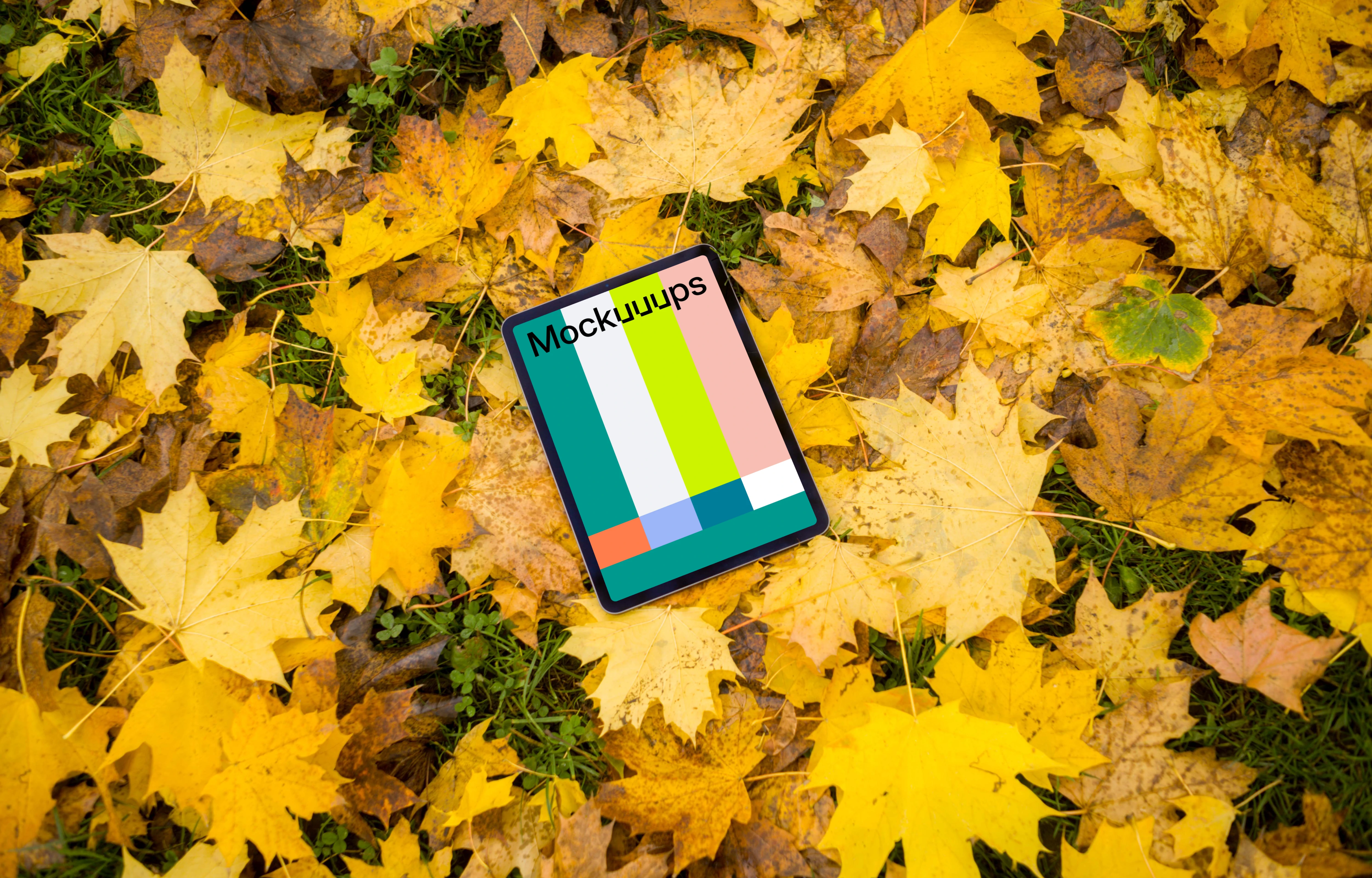 iPad Air mockup in autumn theme