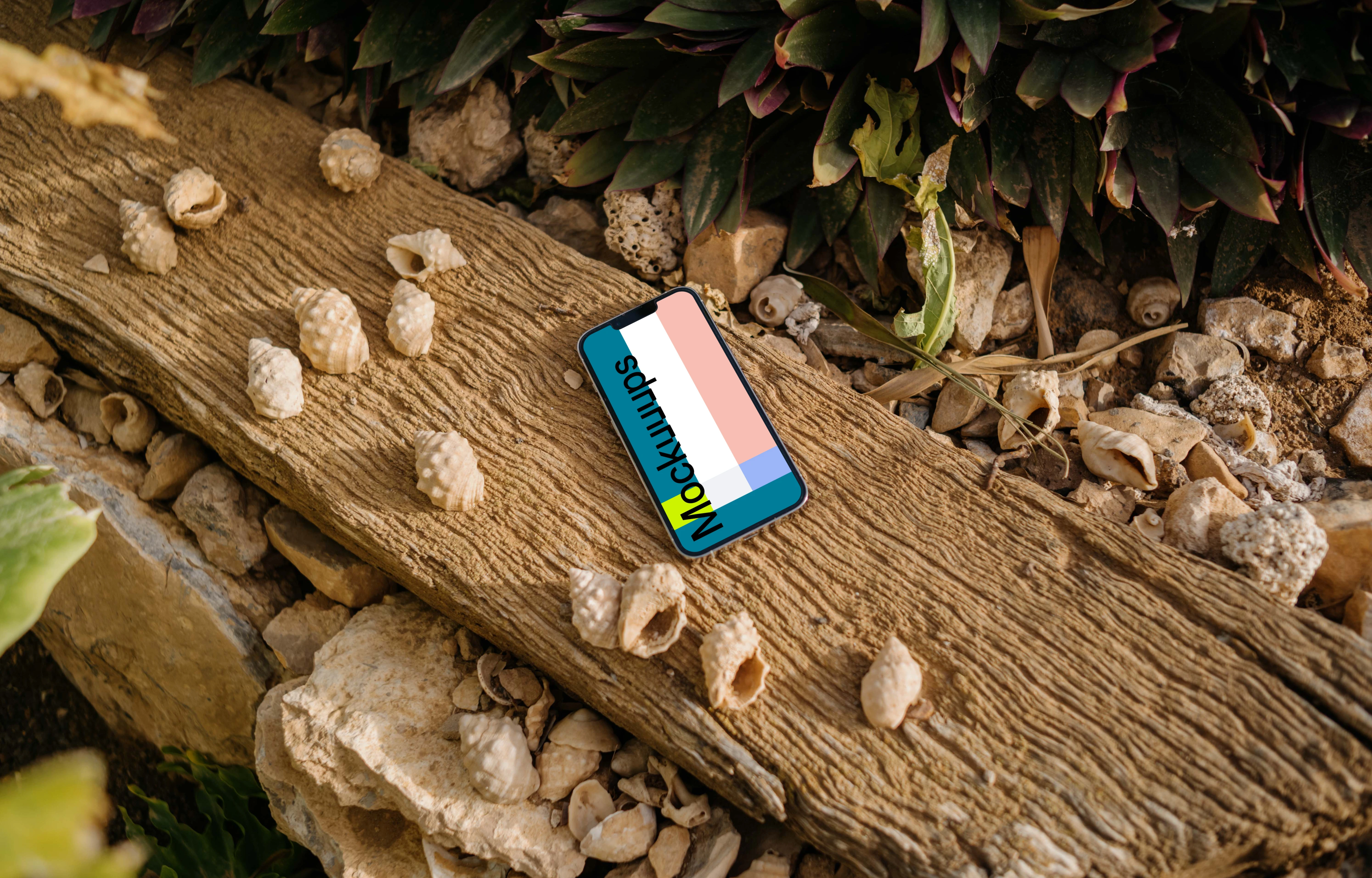  iPhone 13 Pro mockup on a piece of driftwood