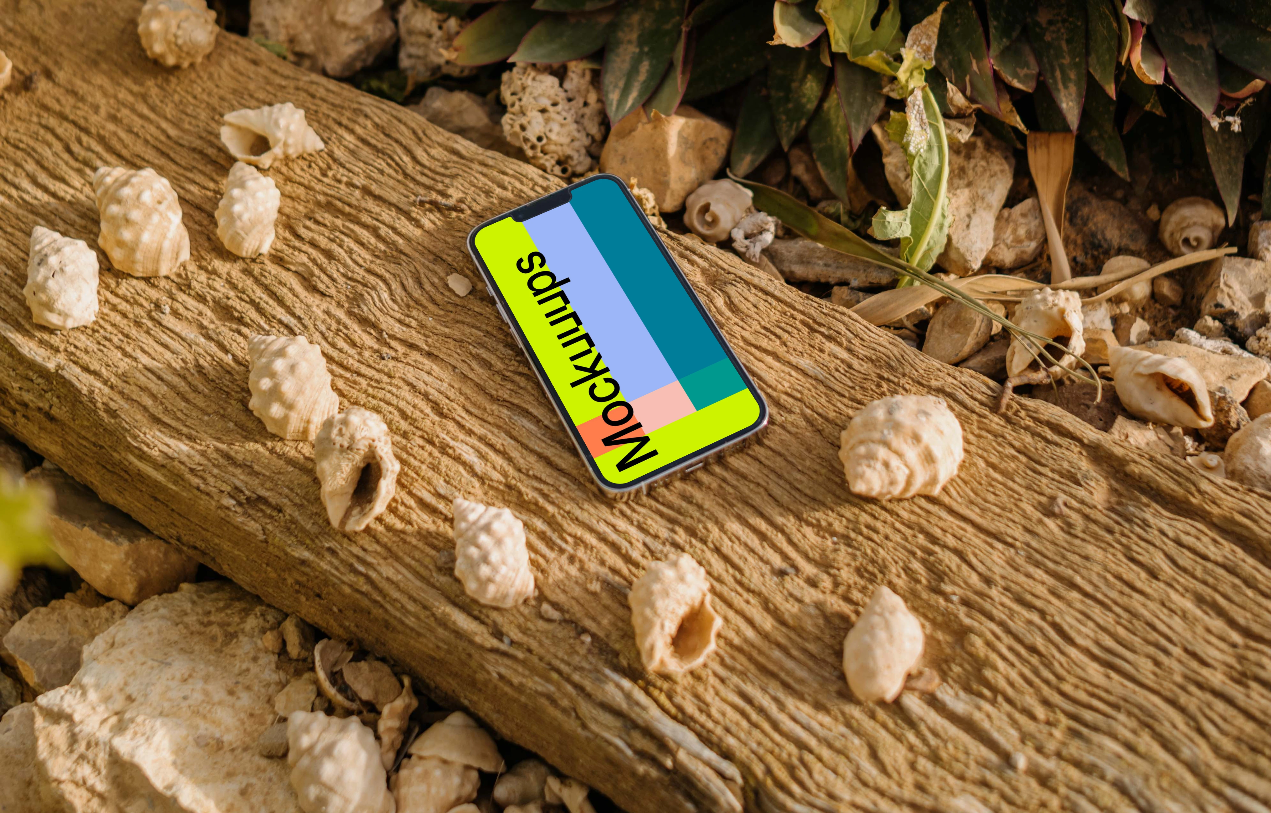iPhone 13 Pro mockup surrounded by some seashells